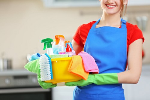 Accessibility support section for Holborn Carpet Cleaners