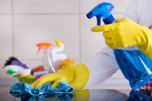 Clean and fresh interior after pet stain odour removal