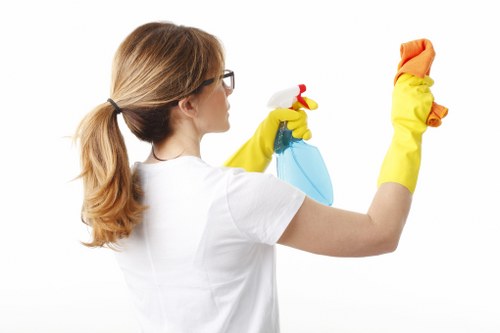 Deep cleaning treatment for stained carpet fibres