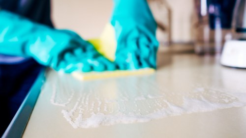 Professional steam carpet cleaning process in Holborn